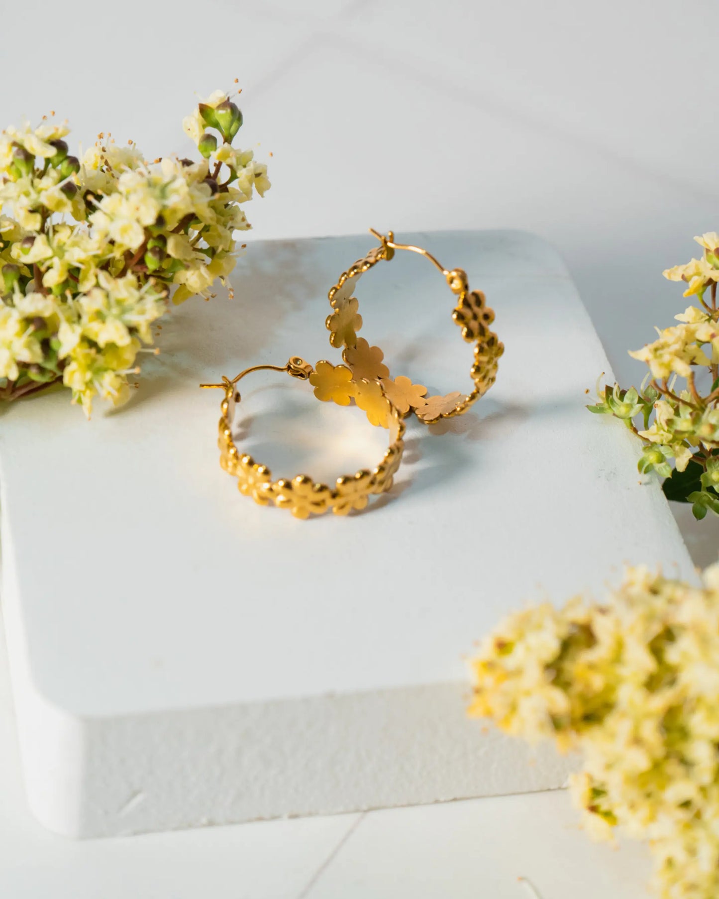 Mimosa Dorada Hoops