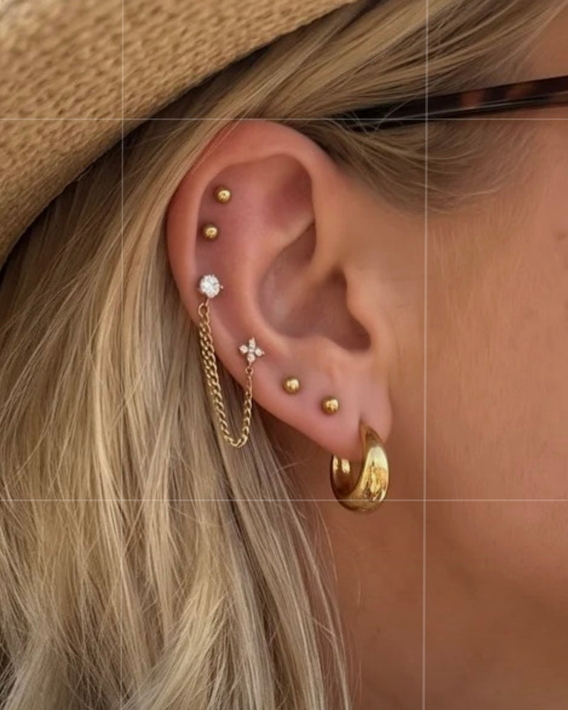 Earrings